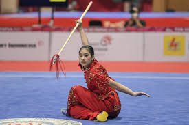 Istilah-Istilah Unik Di Dalam Wushu